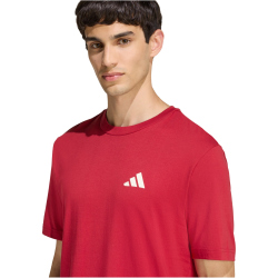 adidas Outdoor Mountain Biking Graphic T-Shirt Herren KB2538 - active maroon S
