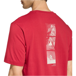 adidas Outdoor Mountain Biking Graphic T-Shirt Herren KB2538 - active maroon S