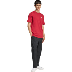 adidas Outdoor Mountain Biking Graphic T-Shirt Herren KB2538 - active maroon S
