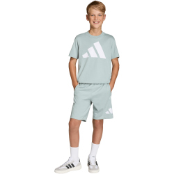 adidas Essentials T-Shirt Kinder KD6046 - wonder sage/white 140