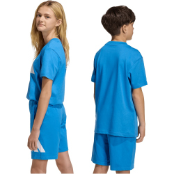 adidas Essentials T-Shirt Kinder KD6044 - ray blue/white 164