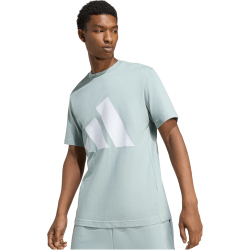 adidas Essentials Big Logo T-Shirt Herren KC0918 - wonder sage/white S