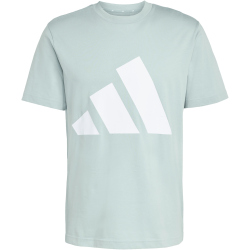 adidas Essentials Big Logo T-Shirt Herren KC0918 - wonder sage/white M