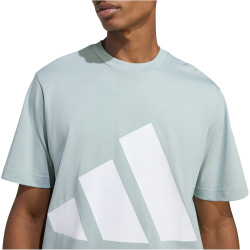 adidas Essentials Big Logo T-Shirt Herren KC0918 - wonder sage/white M