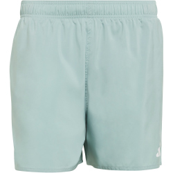 adidas Essentials 5" Badeshorts Herren KA4924 - wonder sage/white S