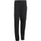 adidas TERREX Xperior Utilitas Clima365 Zip-Off Outdoorhose Herren JY4166 - black S