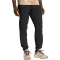 adidas TERREX Xperior Utilitas Clima365 Zip-Off Outdoorhose Herren JY4166 - black S