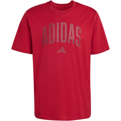 adidas Collegiate Lineage Graphic T-Shirt KH4593 - active...