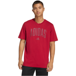 adidas Collegiate Lineage Graphic T-Shirt KH4593 - active...