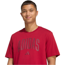 adidas Collegiate Lineage Graphic T-Shirt KH4593 - active...