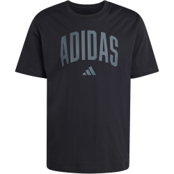 adidas Collegiate Lineage Graphic T-Shirt KH4592 - black S