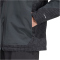 adidas TERREX Xploric 2 Layer Climaproof Outdoorjacke Herren JW9371 - black/carbon M