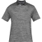 UNDER ARMOUR Performance 2.0 Golf Poloshirt Herren steel/pitch gray M