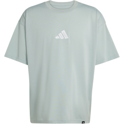 adidas Climacool Power Graphic Trainingsshirt Herren KB9423 - wonder sage M