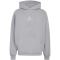 adidas AMG Washed Hoodie Herren KQ8356 - grey three S
