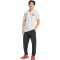 adidas Audi Formel 1 Team Mechaniker & Marketing Poloshirt Herren KE7324 - chalk pearl/iron met. S
