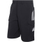 adidas Mercedes - AMG Petronas Formel 1 Team Mechaniker Shorts Herren KE5479 - black/grey two S
