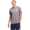 adidas World Wide Hoops Graphic T-Shirt Herren JZ7528 - taupe oxide S