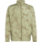 adidas TERREX Multi Spray Dye Clima365 Windjacke Herren KF5756 - tent green/olive strata M