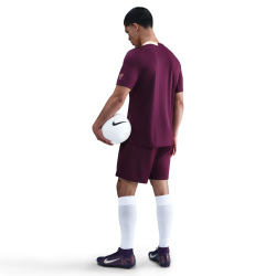 NIKE Strike T90 Dri-FIT kurzarm Trainingsshirt Herren 610 - bordeaux/bordeaux/orange pulse L