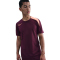 NIKE Strike T90 Dri-FIT kurzarm Trainingsshirt Herren 610 - bordeaux/bordeaux/orange pulse L