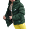 NIKE Sportswear ADP Pufferjacke Kinder 323 - fir/white L (147-158 cm)