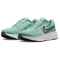 NIKE Run Defy Laufschuhe Herren 008 - cannon/seaweed-barely volt-summit white 40.5