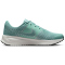 NIKE Run Defy Laufschuhe Herren 008 - cannon/seaweed-barely volt-summit white 43