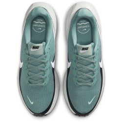 NIKE Revolution 8 Laufschuhe Herren 007 - cannon/white-seaweed-pure platinum 41