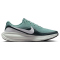 NIKE Revolution 8 Laufschuhe Herren 007 - cannon/white-seaweed-pure platinum 41