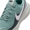 NIKE Revolution 8 Laufschuhe Herren 007 - cannon/white-seaweed-pure platinum 41