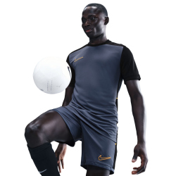 NIKE Academy Dri-FIT Fußball kurzarm Trainingsshirt Herren 491 - diffused blue/black/university gold M
