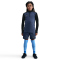 NIKE Academy 25 Dri-FIT Trainingsshirt Kinder 491 - diffused blue/black/university gold L (147-158 cm)
