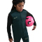 NIKE Academy 25 Dri-FIT Trainingsanzug Kinder 390 - seaweed/black/limelight S (128-137 cm)