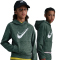 NIKE Multi Therma-FIT Repel Fleece Hoodie Kinder 323 - fir/clay green/htr/white L (147-158 cm)
