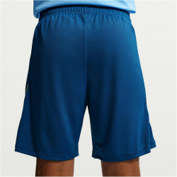 NIKE FC Barcelona Dri-FIT Strike Trainingsshorts Herren...