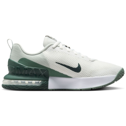 NIKE Air Max Alpha Trainer 6 Fitnessschuhe Herren 108 - summit white/seaweed-light silver 41