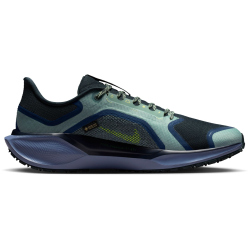 NIKE Air Zoom Pegasus 41 GORE-TEX wasserfeste Laufschuhe Herren 006 - cannon/volt-obsidian-seaweed 41