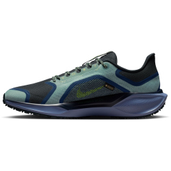 NIKE Air Zoom Pegasus 41 GORE-TEX wasserfeste Laufschuhe Herren 006 - cannon/volt-obsidian-seaweed 41