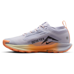 NIKE Pegasus Trail 5 GORE-TEX Trailrunning-Schuhe Damen...