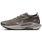 NIKE Pegasus Trail 5 GORE-TEX Trailrunning-Schuhe Herren 012 - ironstone/college grey-velvet brown 41