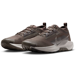 NIKE Pegasus Trail 5 GORE-TEX Trailrunning-Schuhe Herren 012 - ironstone/college grey-velvet brown 42.5