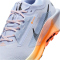 NIKE Pegasus Trail 5 GORE-TEX Trailrunning-Schuhe Herren 011 - ghost/black-malt-orange pulse 41