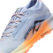 NIKE Pegasus Trail 5 GORE-TEX Trailrunning-Schuhe Herren 011 - ghost/black-malt-orange pulse 41