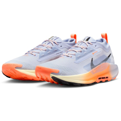NIKE Pegasus Trail 5 GORE-TEX Trailrunning-Schuhe Herren 011 - ghost/black-malt-orange pulse 42.5