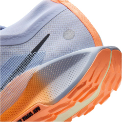 NIKE Pegasus Trail 5 GORE-TEX Trailrunning-Schuhe Herren 011 - ghost/black-malt-orange pulse 42.5