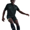 NIKE Strike Dri-FIT Fußballshorts Herren 390 - seaweed/seaweed/limelight/limelight XS