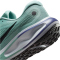 NIKE Journey Run Laufschuhe Herren 010 - cannon/black-sanded purple-pure platinum 42.5