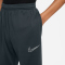 NIKE Academy23 Winter Warrior Therma-FIT Fußball Trainingshose Kinder 390 - seaweed/limelight/reflective silv XL (158-170 cm)