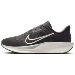 NIKE Quest 6 Laufschuhe Herren 200 - medium ash/sail-college grey-light ash 40